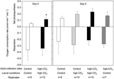 Potential Acclimatization and Adaptive Responses of Adult and Trans-Generation Coral Larvae From a Naturally Acidified Habitat